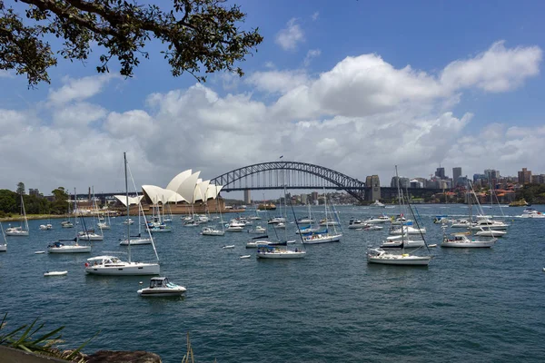 Sydney Opera House Víspera Año Nuevo Rodaje Señora Macquaries Point — Foto de Stock