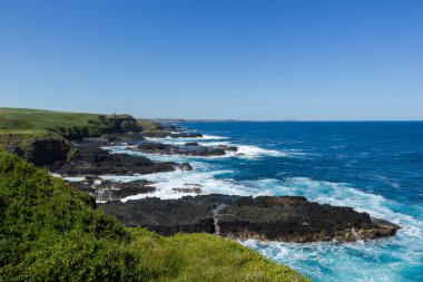 Phillip Island doğa Park - yeşil tepeler ve engebeli kıyı şeridi Victoria Australia. Philip Adası Avustralya Nobbies kayalık sahil şeridi.