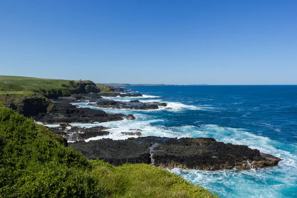 Phillip Island doğa Park - yeşil tepeler ve engebeli kıyı şeridi Victoria Australia. Philip Adası Avustralya Nobbies kayalık sahil şeridi.