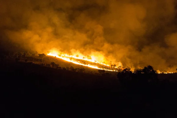 Australisches Buschfeuer eines Waldes in der Nacht im nördlichen Territorium — Stockfoto
