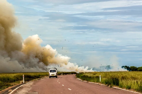 Auto fährt zu einem kontrollierten Buschfeuer im Kakadu Nationalpark, mit verschiedenen Vögeln, nördliches Territorium, Australien — Stockfoto