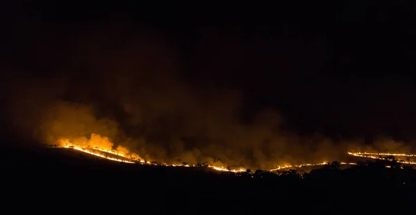 Australijski bushfire Forrest w nocy na terytorium nothern — Zdjęcie stockowe