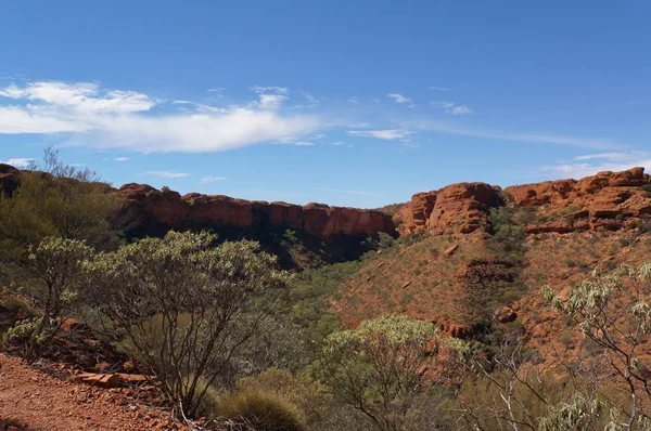 view into the Kings Canyon, Watarrka National Park, Northern Territory, Australia