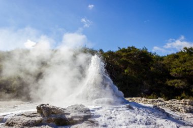 Lady Knox Geyser patlaması, Wai-O-Tapu Termal Harikalar Diyarı, Rotorua, Yeni Zelanda