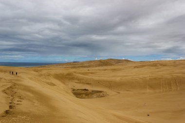 Northland Yeni Zelanda'da 90 Mile plajda Te-Paki dev kum tepeleri