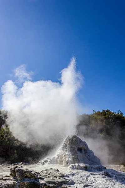 Έκρηξη της κυρίας Νοξ γκέιζερ, της θερμικής χώρας των θαυμάτων, Ροτορούα, Νέα Ζηλανδία — Φωτογραφία Αρχείου