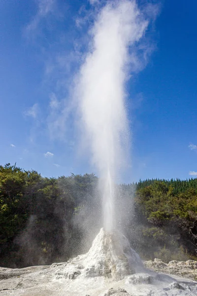 Έκρηξη της κυρίας Νοξ γκέιζερ, της θερμικής χώρας των θαυμάτων, Ροτορούα, Νέα Ζηλανδία — Φωτογραφία Αρχείου