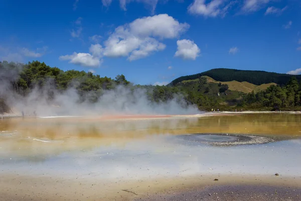 Πισίνα Σαμπέιν θερμική ΠΟΙΗΜΑ Wai-O-Tapu σε Rotorua, Νέα Ζηλανδία. — Φωτογραφία Αρχείου