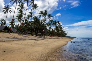 Tropik adada plaj berrak mavi su. Dravuni Adası, Fiji.