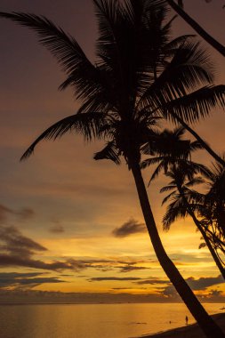 Fiji Adası Tambua Sands Plajı'nda renkli gün doğumu, Fiji