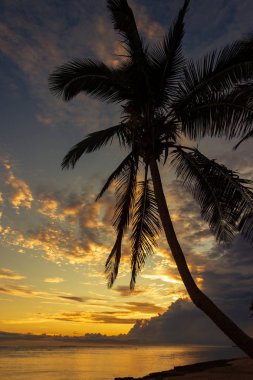 Fiji Adası Tambua Sands Plajı'nda renkli gün doğumu, Fiji