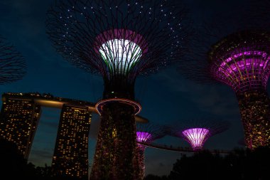 Singapur, Singapur - 28 Mart 2016: Körfez kıyısındaki bahçelerde ışık gösterisi için aydınlatılmış süperağaçlar