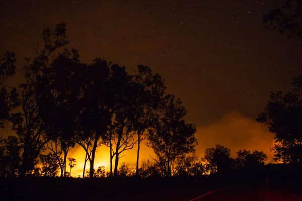 bir bushfire, orman yangın nedeniyle gerçekten parlak, litchfield milli parkı, Avustralya