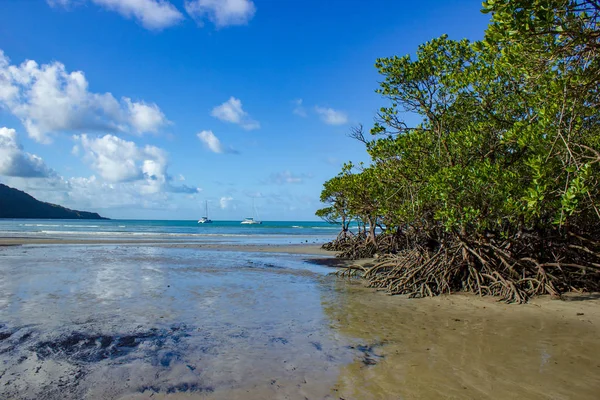 Queensland, Avustralya uzak tropikal kuzeyinde Daintree Milli Parkı Cape Tribulation manzara görünümü