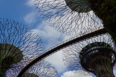 Singapur, Singapur - 28 Mart 2016: Güney Singapur Körfezi 'ndeki körfezin yanındaki bahçede bulunan Singapur Supertrees