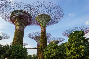 Singapur, Singapur - 28 Mart 2016: Güney Singapur Körfezi 'ndeki körfezin yanındaki bahçede bulunan Singapur Supertrees