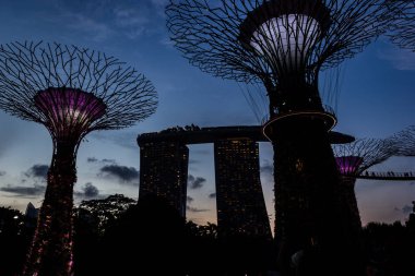 Singapur, Singapur - 28 Mart 2016: Körfez kıyısındaki bahçelerde ışık gösterisi için aydınlatılmış süperağaçlar