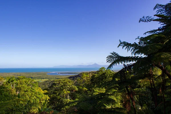 Kilátás a Daintree Nemzeti Park naplementekor, Cape Tribulation, Ausztrália — Stock Fotó