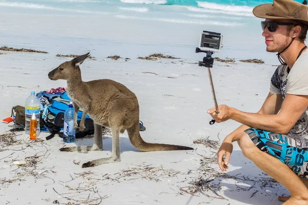 Hombre caucásico se está tomando una selfie con un hermoso canguro cerca de una mochila en Lucky Bay Beach en el Parque Nacional del Cabo Le Grand cerca de Esperance, Australia — Foto de Stock