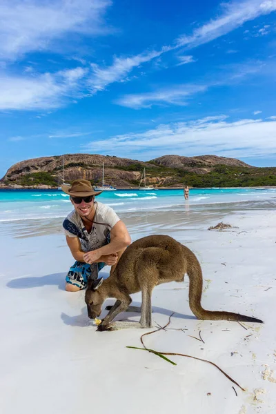 Hombre caucásico con un hermoso canguro en Lucky Bay Beach en el Parque Nacional Cape Le Grand cerca de Esperance, Australia — Foto de Stock