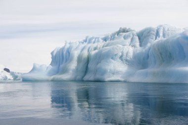 Antarktika doğal buzdağları yakın çekim güneşli bir günde