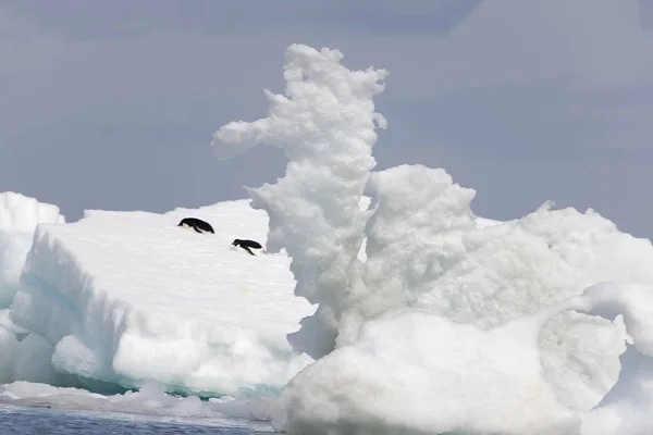 劇的な南極氷 海のある風景します — ストック写真