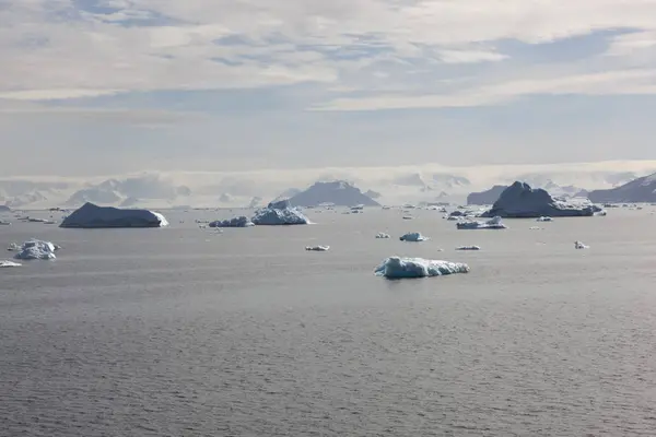 Dramático Paisaje Antártico Con Hielo Icebergs Océano — Foto de Stock