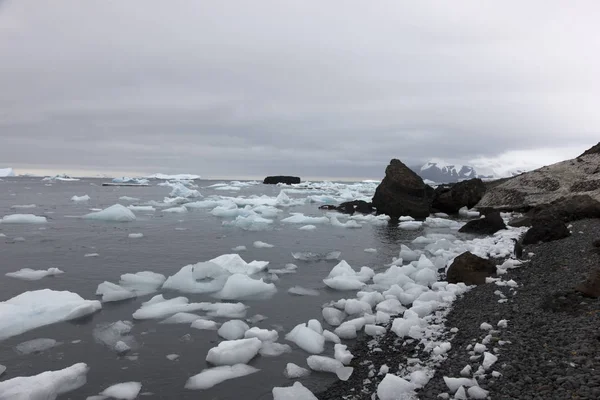 Drámai Antarktiszi Jég Jéghegyek Tengeri Táj — Stock Fotó
