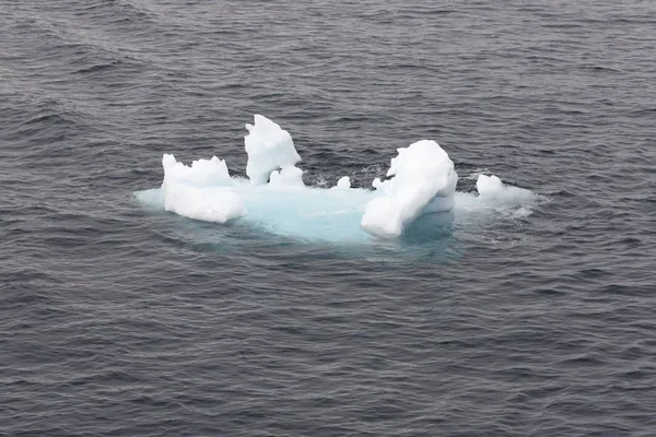 Paysage Antarctique Avec Beaux Icebergs Bleus Océan Par Une Journée — Photo