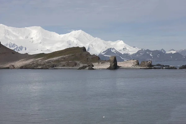 Драматичні Антарктичного Краєвид Льодом Океан Похмурий День — стокове фото
