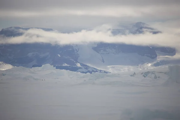 Fehér Sarki Éjszaka Nap Jég Antarktisz — Stock Fotó