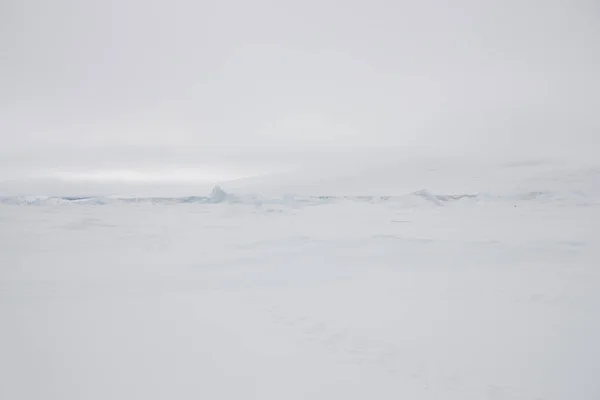 Antarktis Porträtt Kejsarpingvin Närbild — Stockfoto