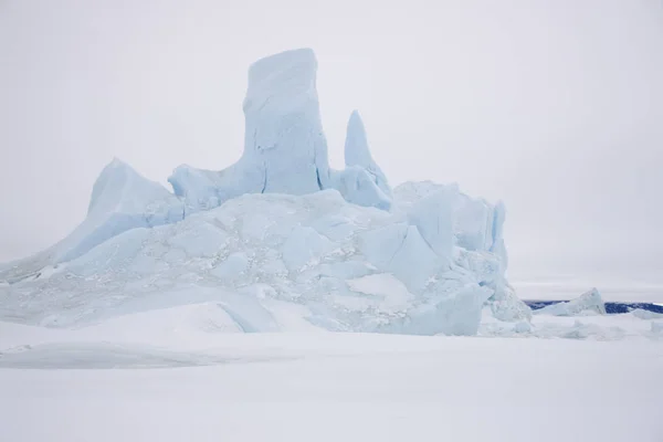 Antártica Retrato Pinguim Imperador Close — Fotografia de Stock