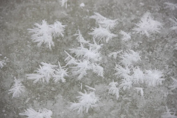 Antarctique Très Gros Flocons Neige Antarctiques — Photo