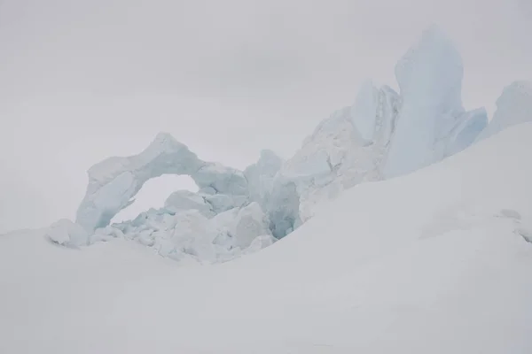 Antártica Skua Close Dia Ensolarado — Fotografia de Stock