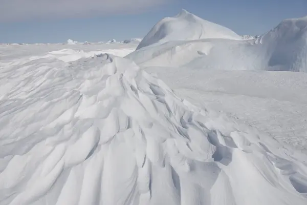 Ανταρκτική Skua Κινηματογράφηση Πρώτο Πλάνο Μια Ηλιόλουστη Ημέρα — Φωτογραφία Αρχείου