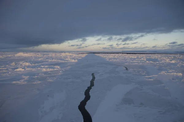 Maravilhosa Paisagem Antártica Com Oceano Pôr Sol Dia Antártico — Fotografia de Stock