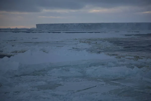 Paisagem Antártica Com Oceano Neve Gelo Icebergs Dia Nublado — Fotografia de Stock