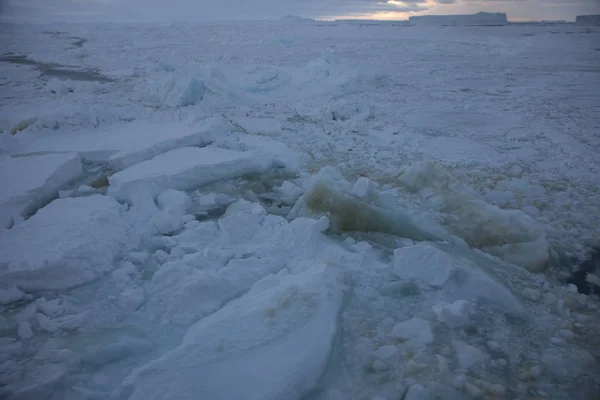 Paisagem Antártica Com Oceano Neve Gelo Icebergs Dia Nublado — Fotografia de Stock