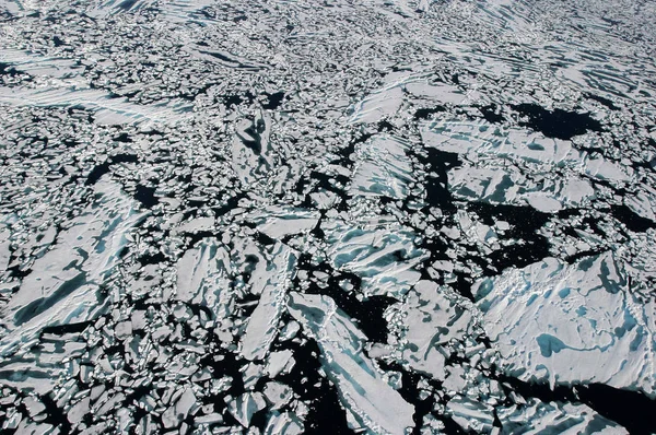 Paisaje Antártico Con Océano Nieve Hielo Icebergs Día Nublado — Foto de Stock