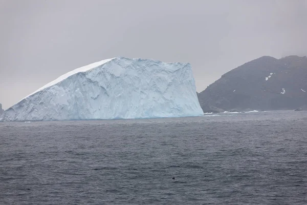South Orkney Islands Paisagem Com Icebergs Oceano Dia Nublado — Fotografia de Stock