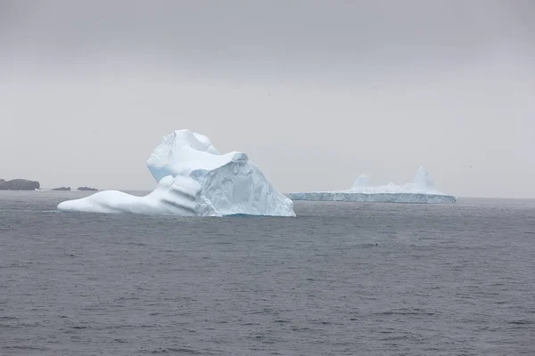 South Orkney Islands Paisagem Com Icebergs Oceano Dia Nublado — Fotografia de Stock