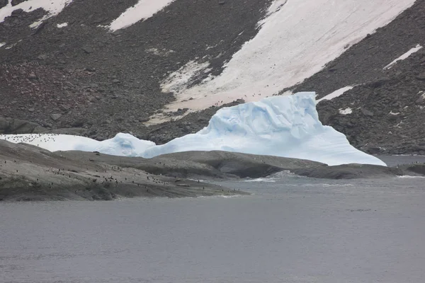 South Orkney Islands landscape with icebergs ocean and  on a cloudy day.