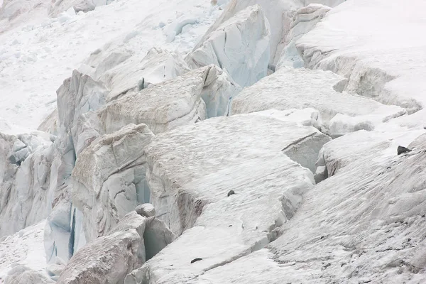 Zuidelijke Orkneyeilanden Gletsjer Close Een Bewolkte Dag — Stockfoto