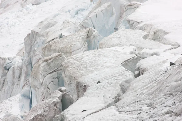 Ilhas Orkney Sul Glaciar Closeup Dia Nublado — Fotografia de Stock