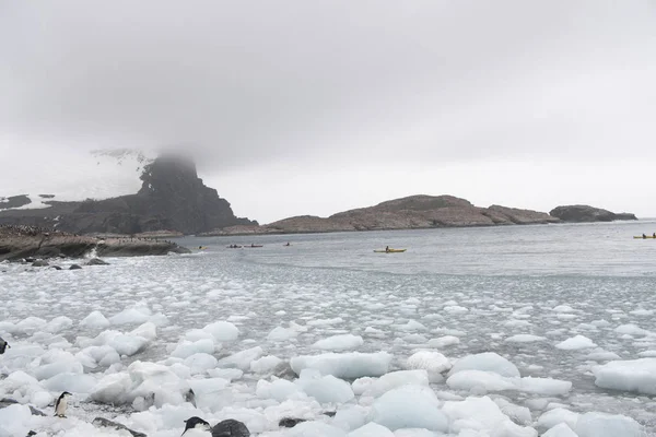 Islas Orcadas Del Sur Paisaje Con Icebergs Océano Día Nublado —  Fotos de Stock