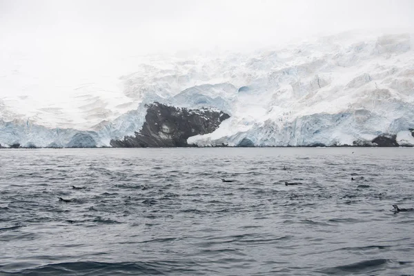 South Orkney Islands Paisagem Com Icebergs Oceano Dia Nublado — Fotografia de Stock