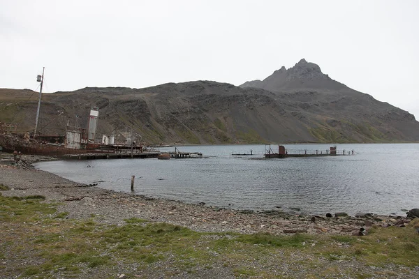 Grytviken Adalar Bulutlu Bir Günde Başkenti Görünümlerini Güney Georgia — Stok fotoğraf