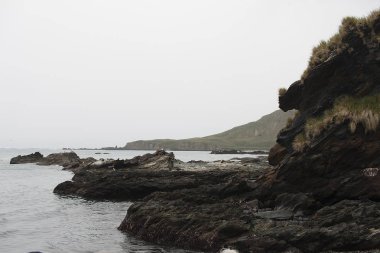 Okyanus, dağlar, buz ve kar, Güney Georgia dramatik yatay