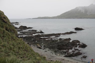 Okyanus, dağlar, buz ve kar, Güney Georgia dramatik yatay
